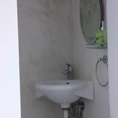 Nyaraló Zozo *